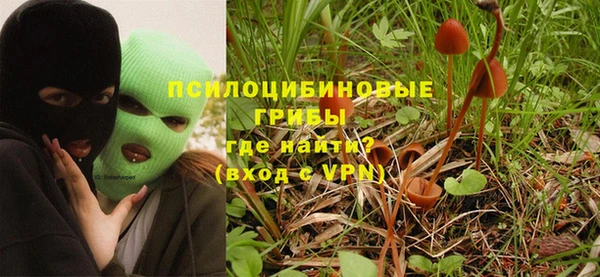 альфа пвп Вяземский