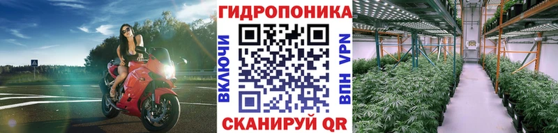 где купить наркотик Мензелинск Марихуана ГИДРОПОН